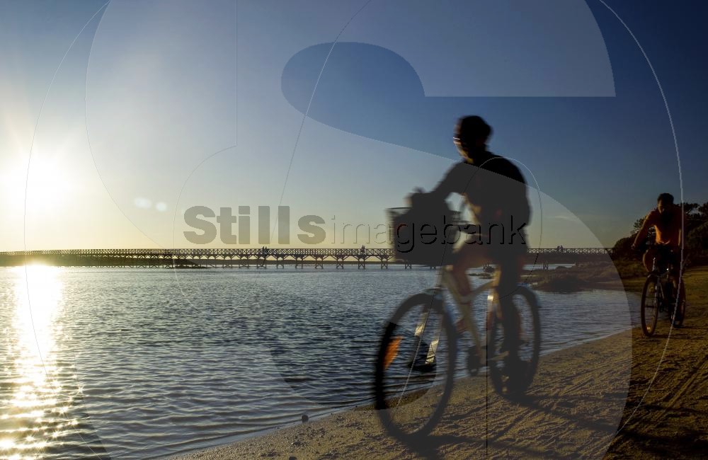 Bike ride at sunset