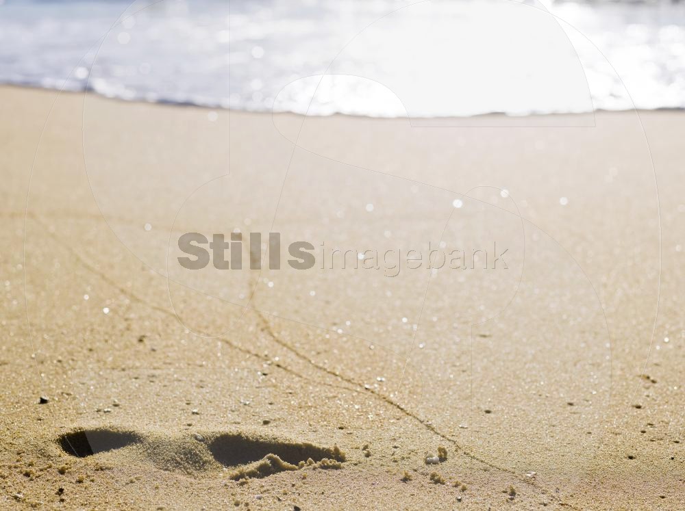 Footprint on sand