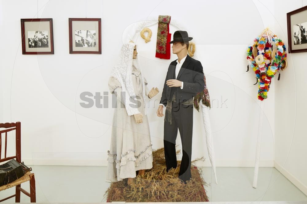 Cândido Guerreiro e Condes de Alte museum