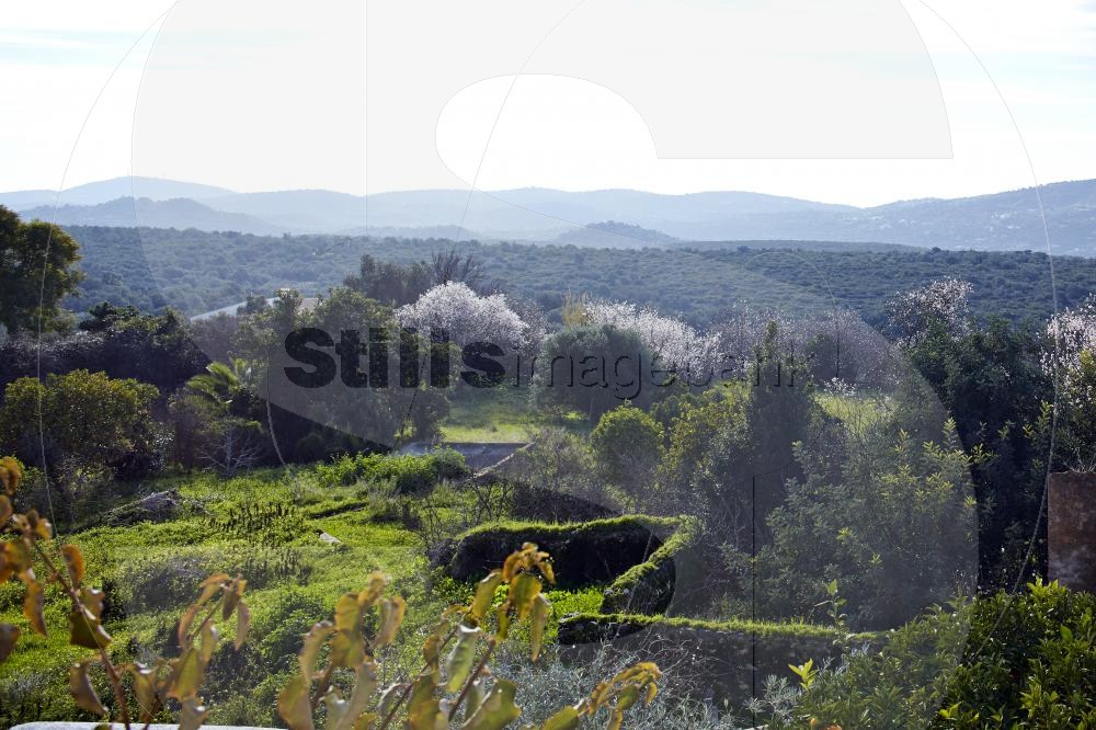 Algarvian sierra