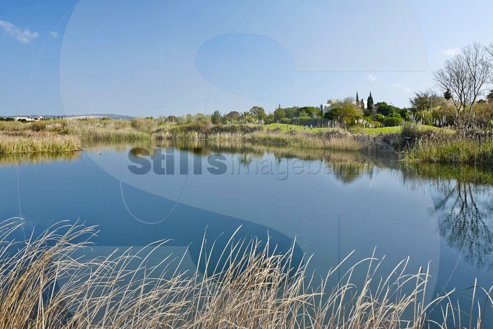 Lake in golf course