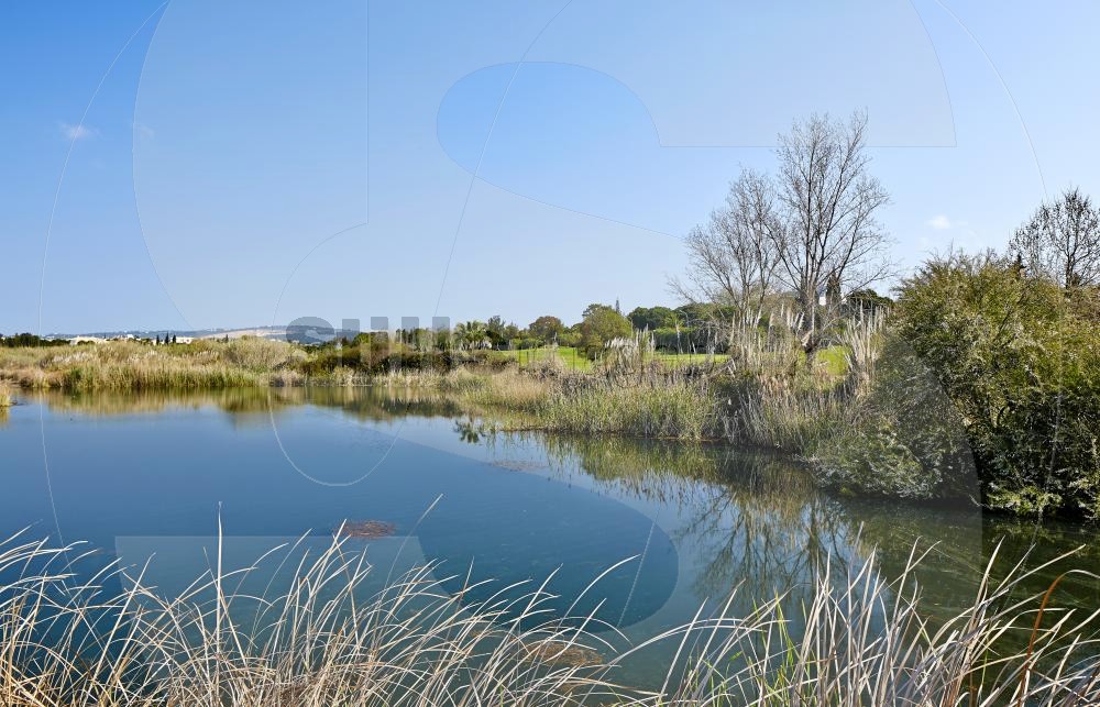 Lake in Golf course