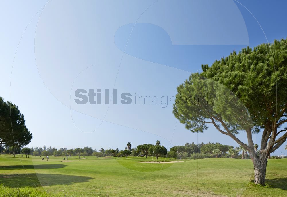 Golf course