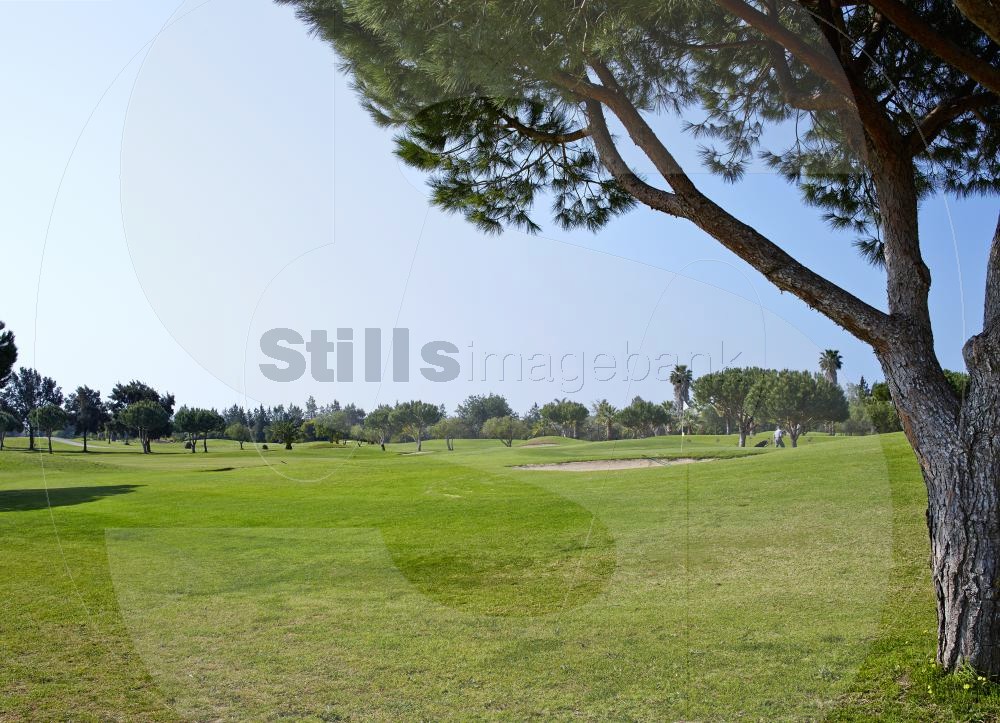 Golf course