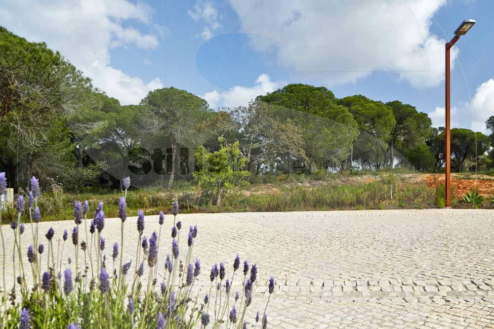 "Pinhal Velho" at Vilamoura