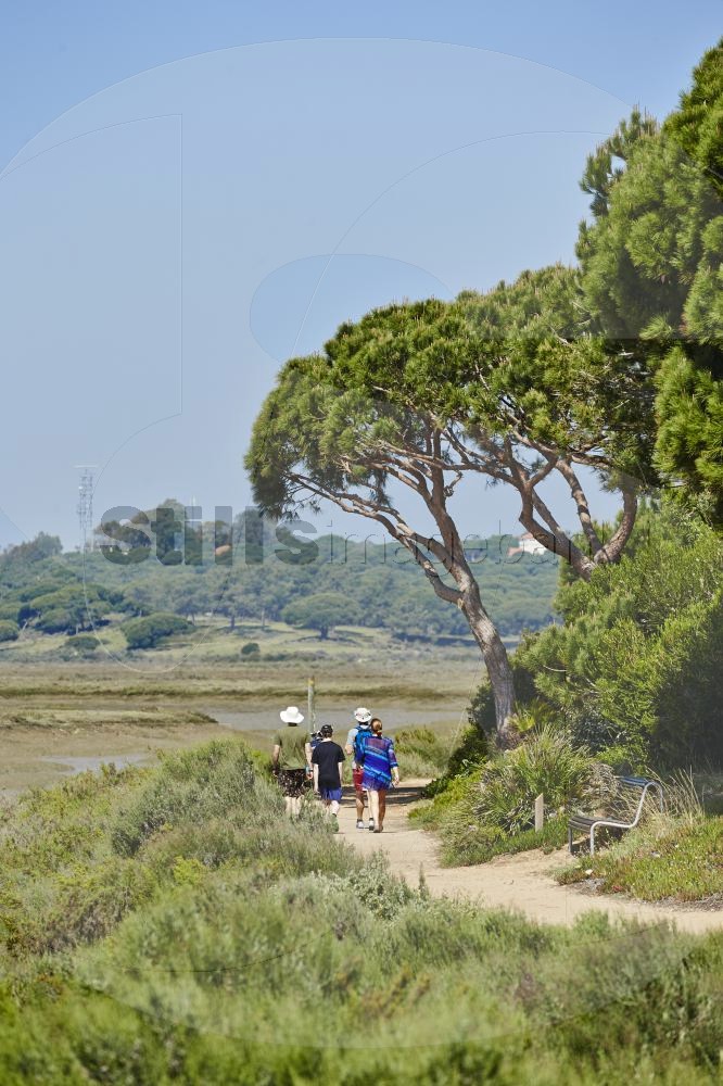 Walk in ria formosa