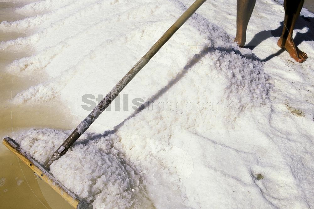 Salt collection