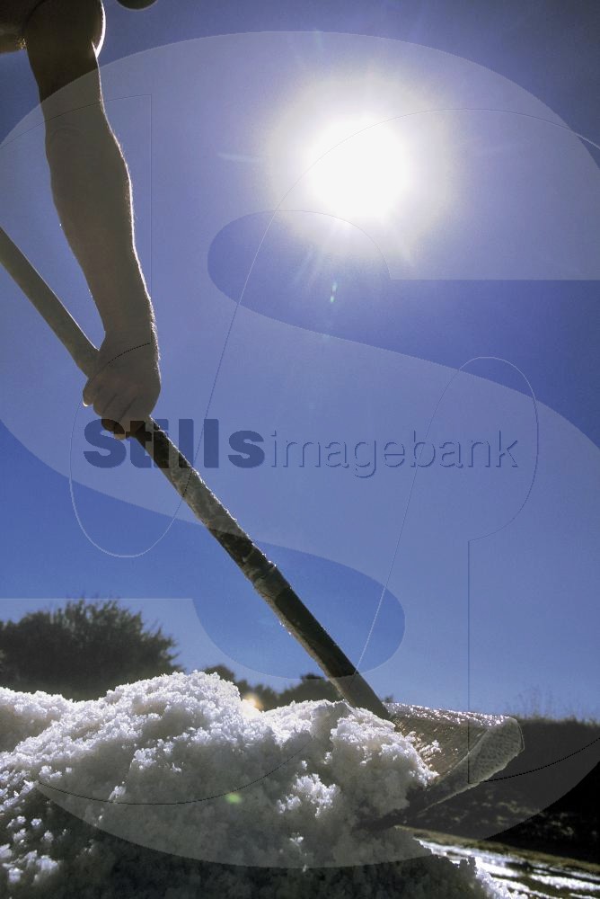 Salt collection