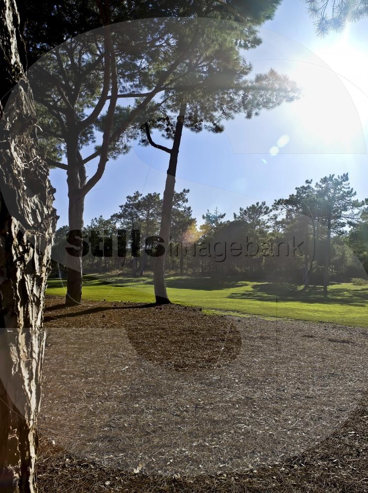 San Lorenzo golf course