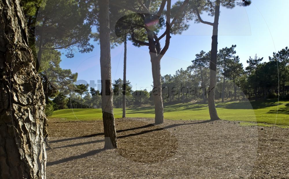 San Lorenzo golf course