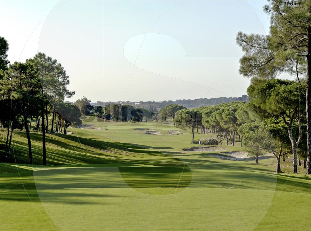 Golf course
