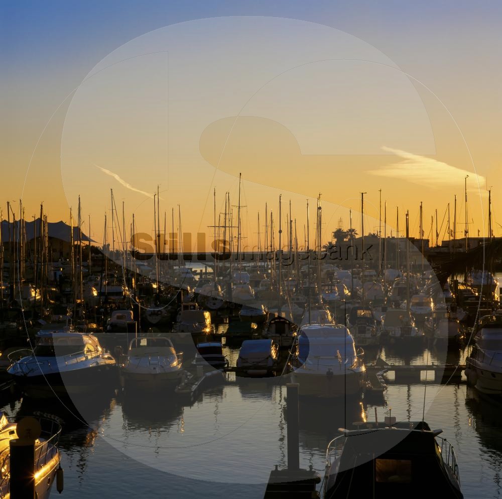 Marina of vilamoura