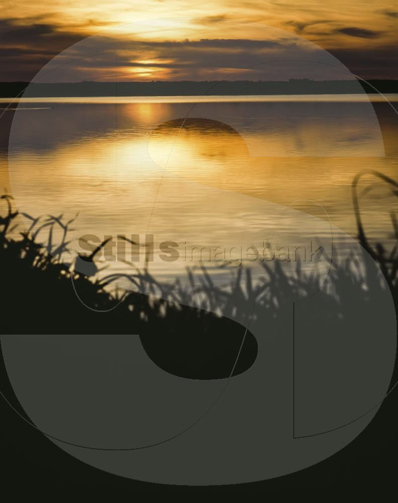 Sunset at ria formosa