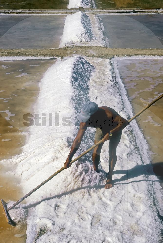 Man working in handmade salt collection