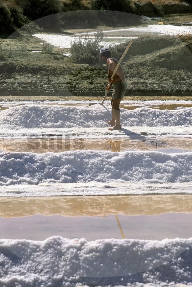 Man working in handmade salt collection