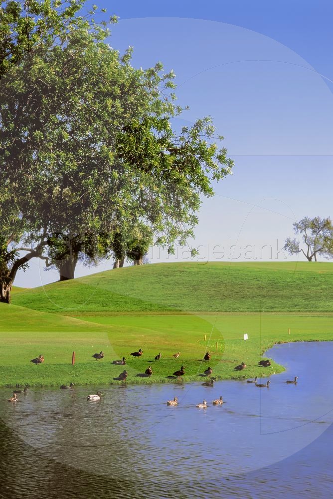 Lake on a golf course