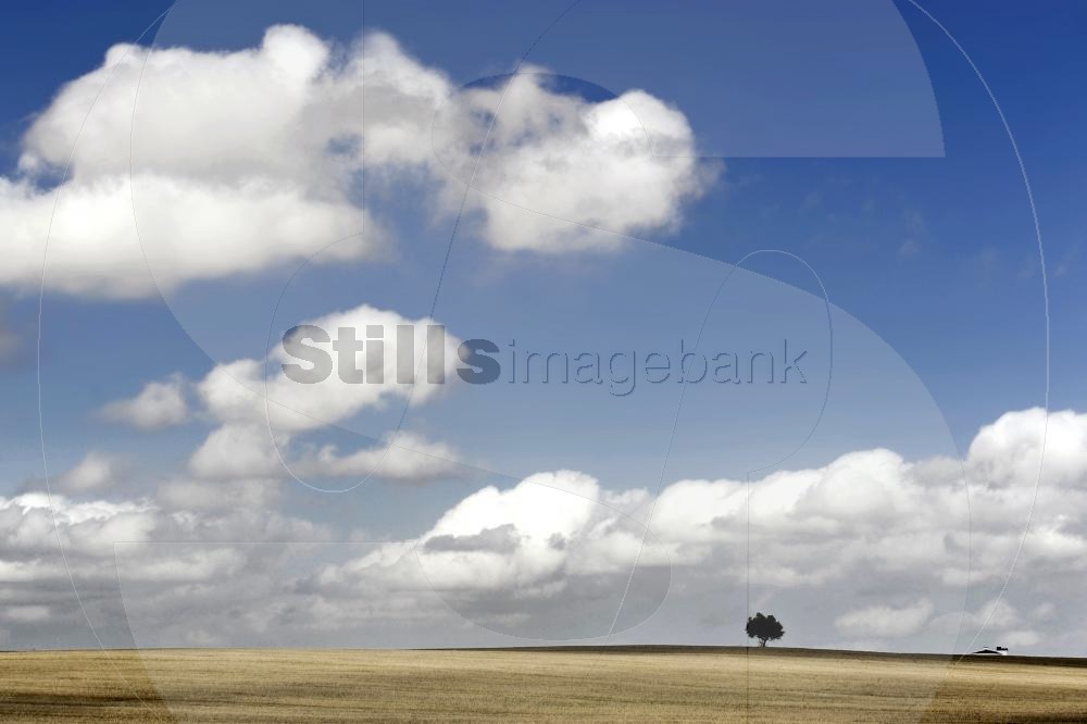 Plain alentejo