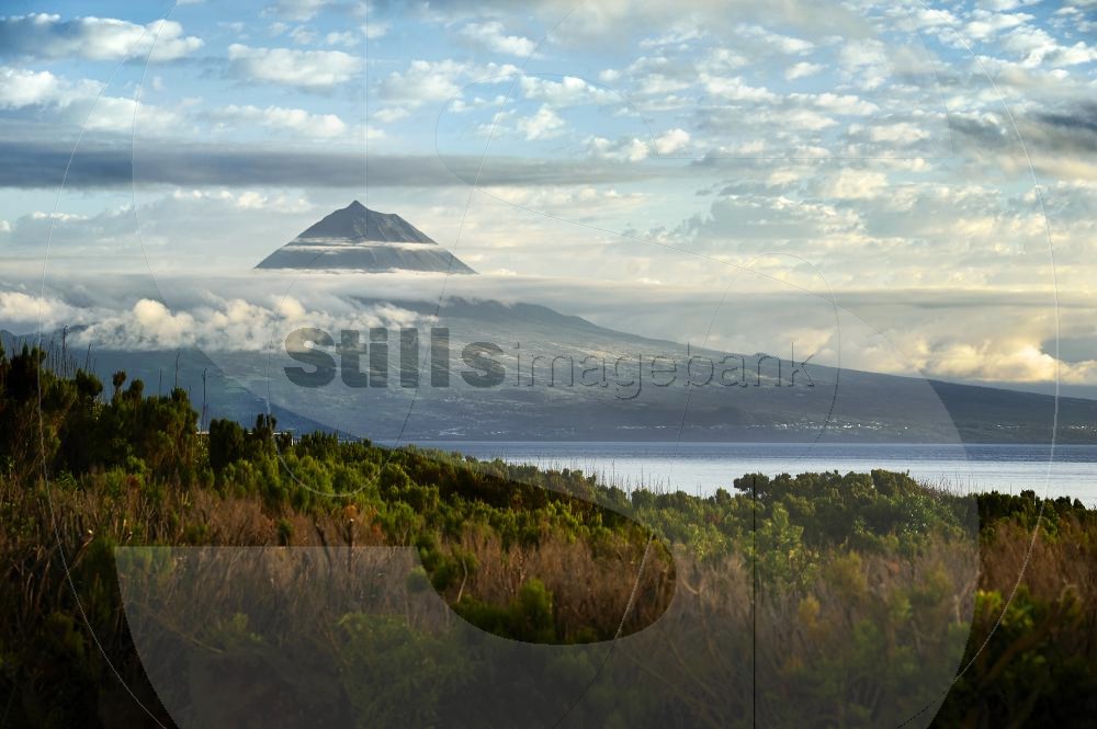 Volcano of pico island