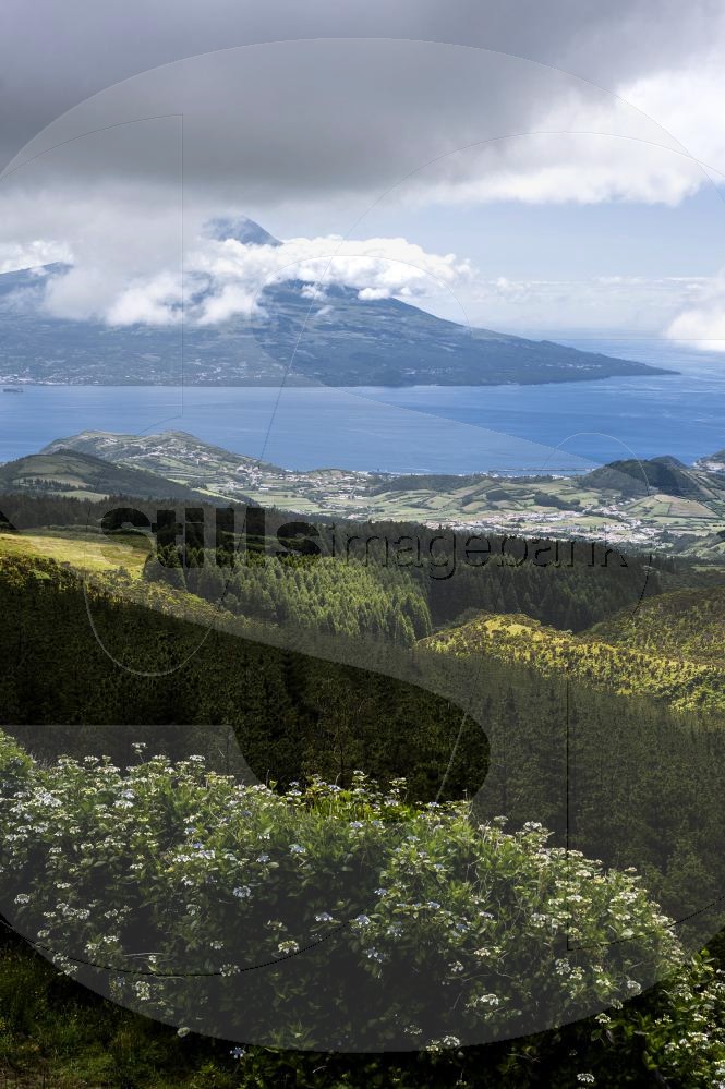 Pico and faial