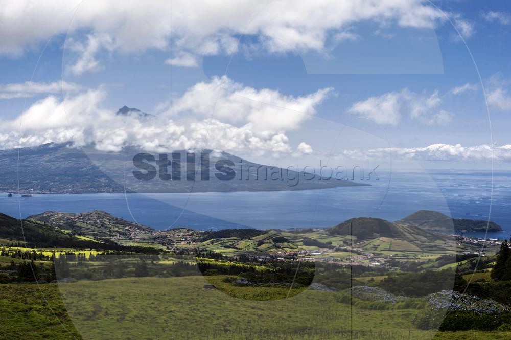 Pico and faial