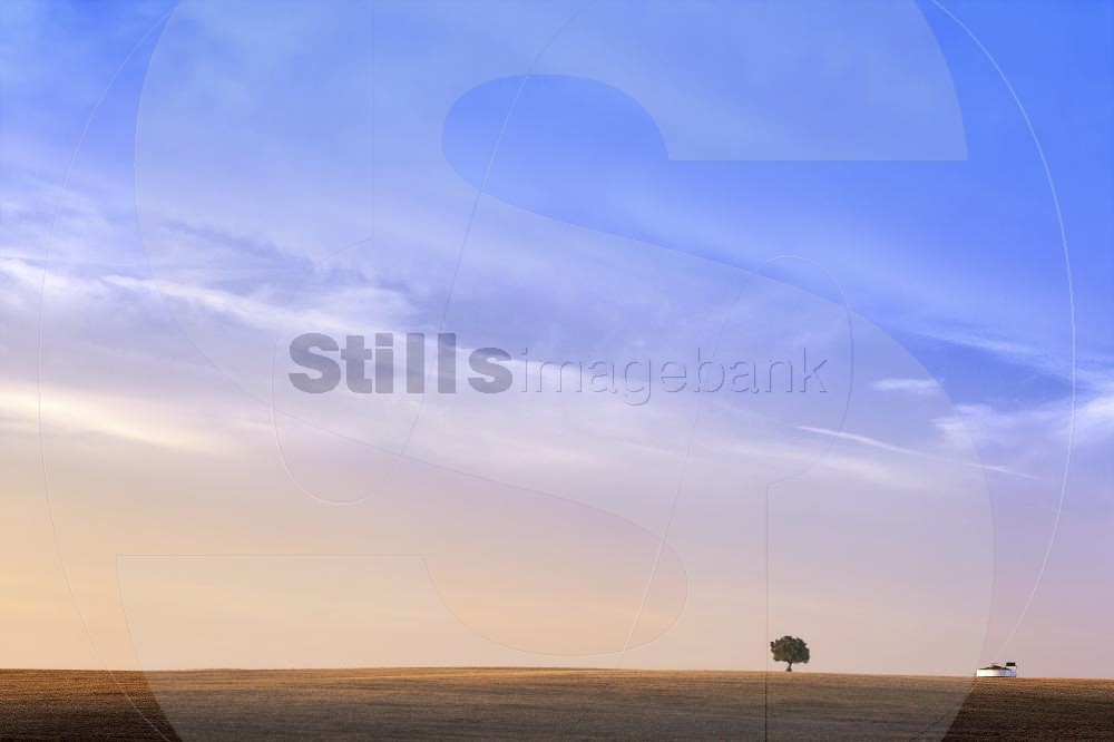 Plain alentejo