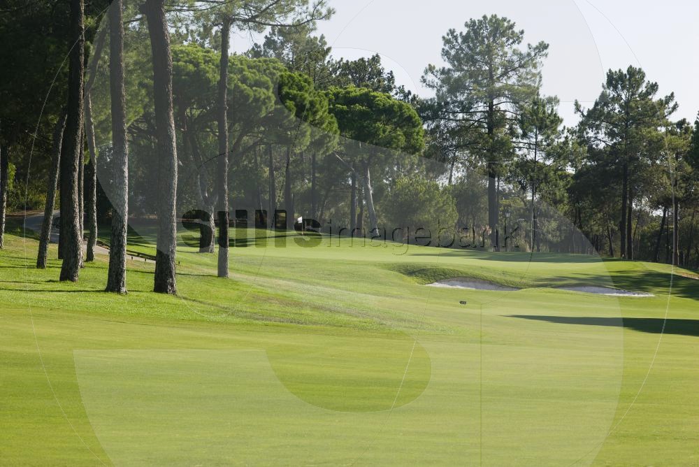 Golf course