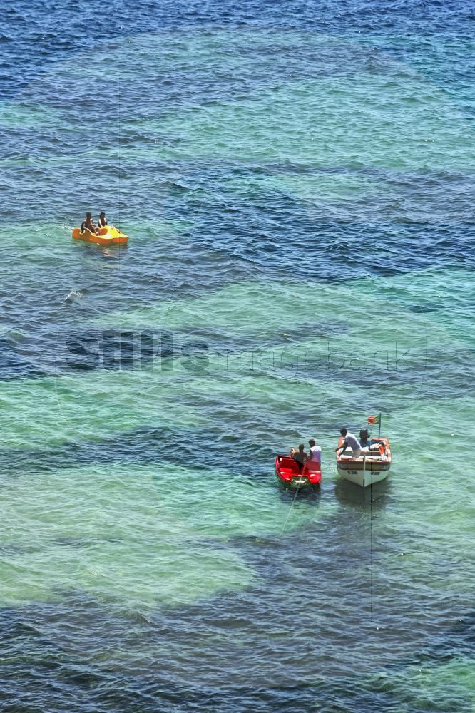 Paddle boat