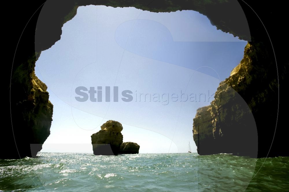Under the rock