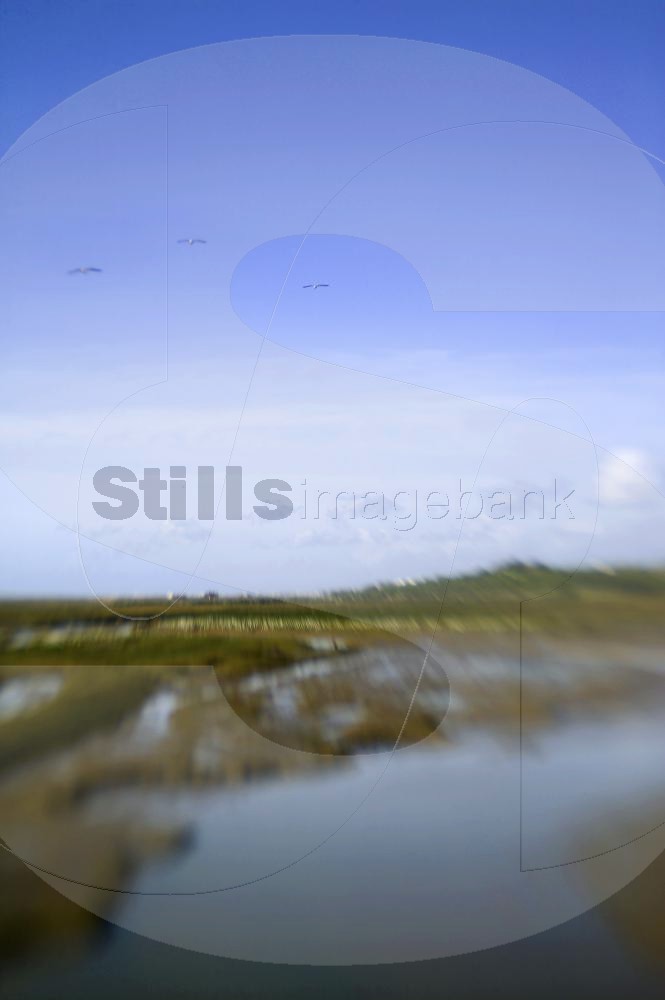 Ria formosa