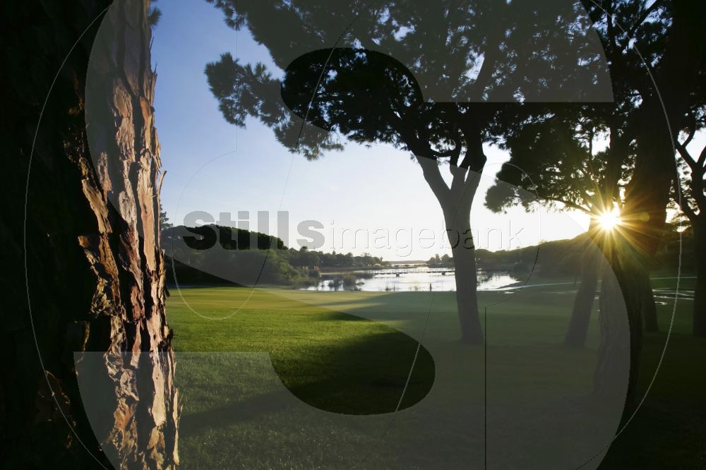 Golf course