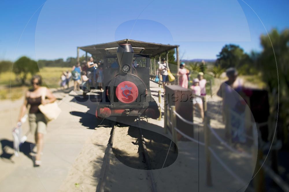 Barril beach train