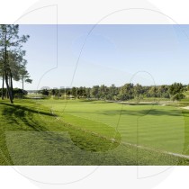 Golf course