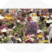 Tochas Floridas traditional fest (RM)