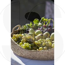Fruit basket