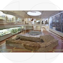 Municipal museum of archeology