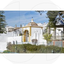 Garden of verbena