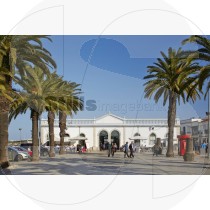Tavira old market (RM)