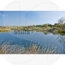 Lake in golf course