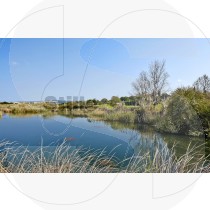 Lake in Golf course