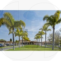 Millenium golf course