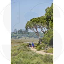 Walk in ria formosa