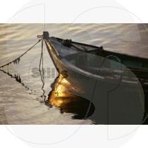 Boat in ria formosa