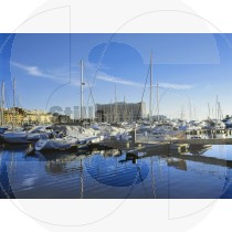 Vilamoura's marina