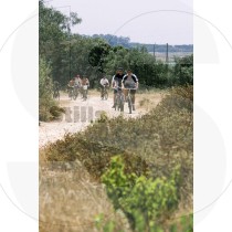 Bike ride at Quinta do Lago (RM)