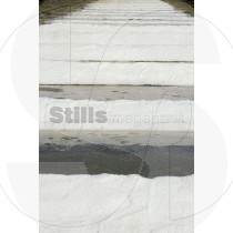 Salt in the Saline