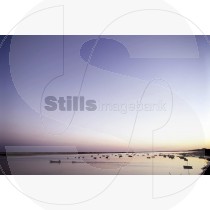 Boats in ria formosa