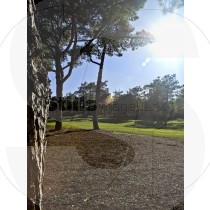 San Lorenzo golf course