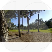 San Lorenzo golf course