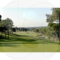 Golf course