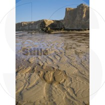 Tonel beach